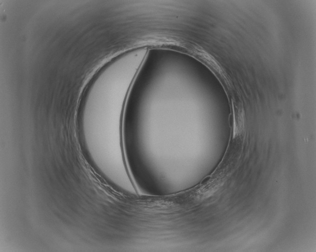 X0000073500387200607310858