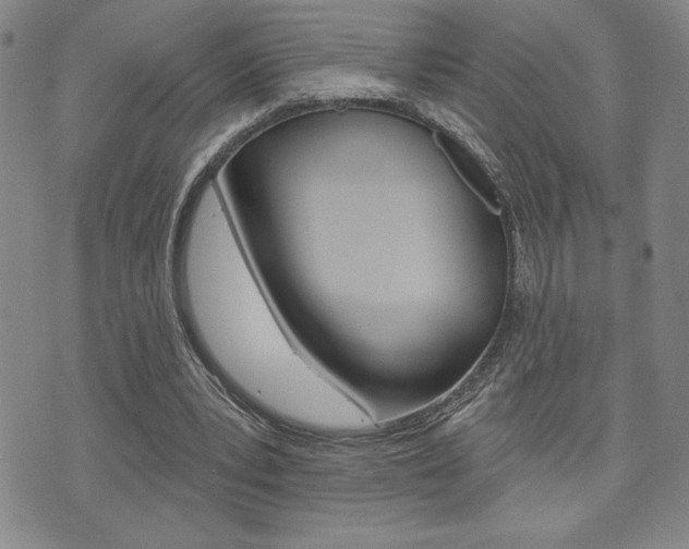 X0000073500391200607310858