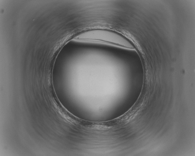 X0000073500393200607310858