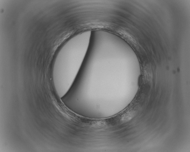 X0000073500398200607310858