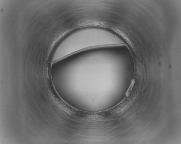 X0000073500399200607310858