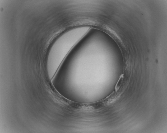 X0000073500403200607310858