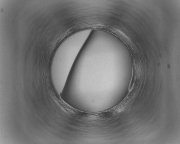 X0000073500405200607310858