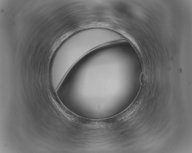 X0000073500437200607310856