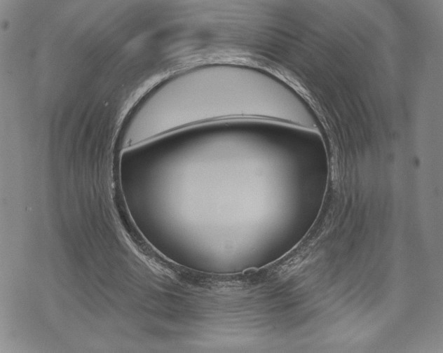 X0000073500438200607310856