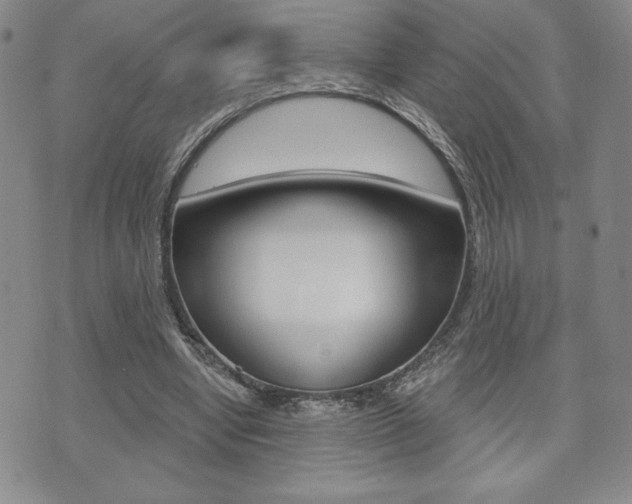 X0000073500442200607310856