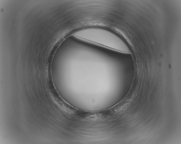 X0000073500447200607310857