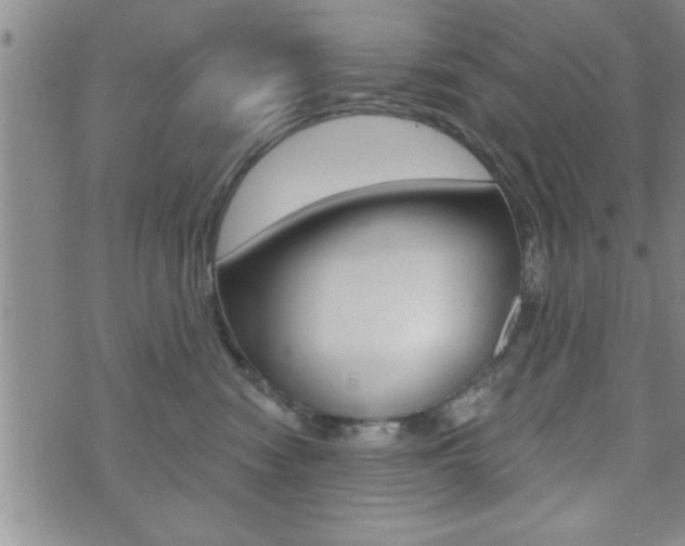 X0000073500474200607310857