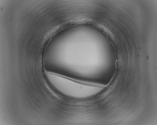 X0000073500493200607310856
