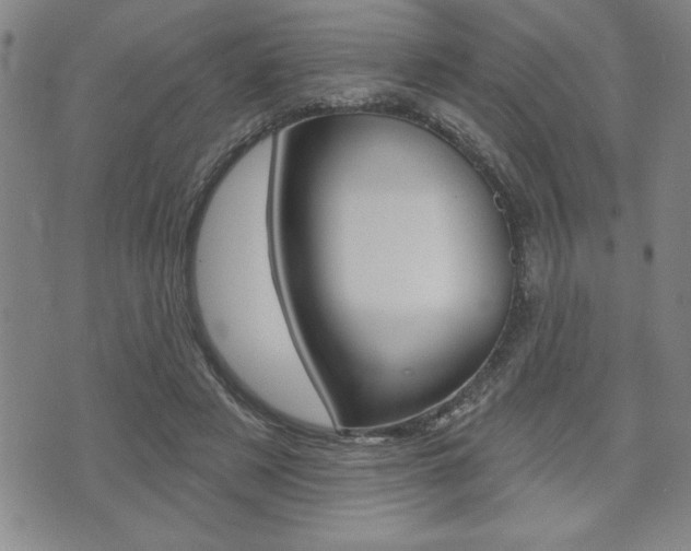 X0000073500497200607310856