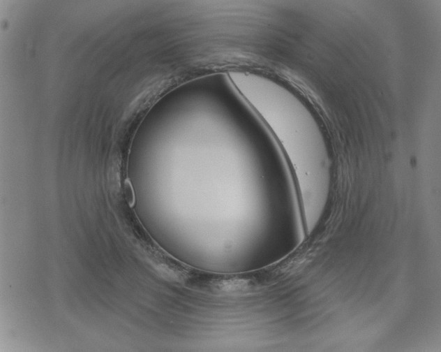 X0000073500501200607310856