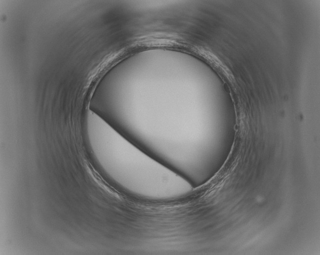 X0000073500533200607310855