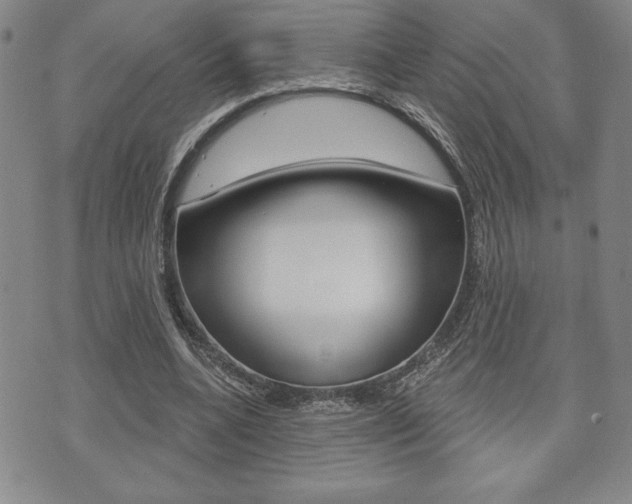 X0000073500536200607310855