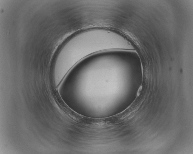 X0000073500540200607310855