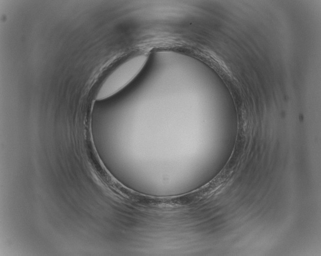 X0000073500542200607310855