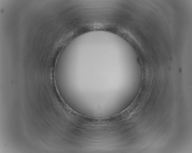 X0000073500545200607310855