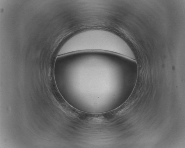 X0000073500548200607310855