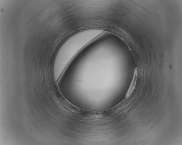 X0000073500552200607310855