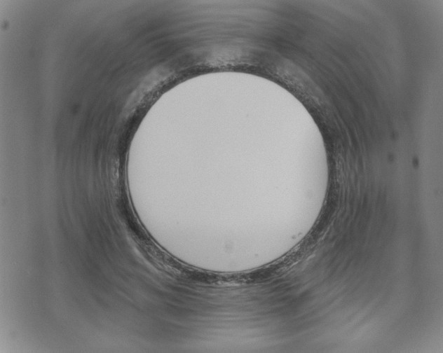 X0000073500592200607310855