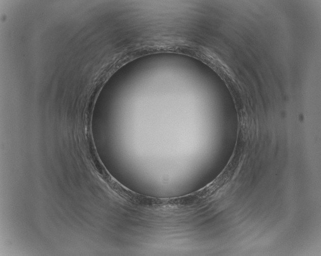 X0000073500593200607310855