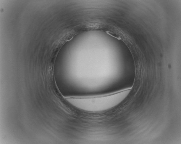 X0000073500601200607310854