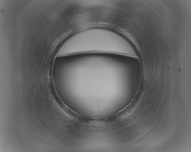 X0000073500633200607310853
