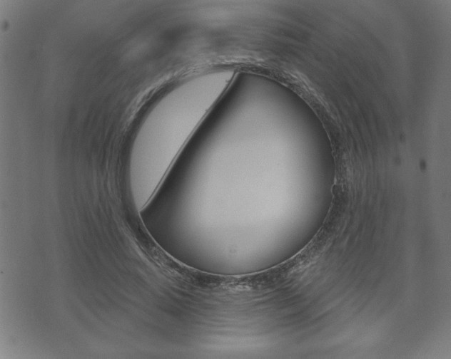 X0000073500640200607310853