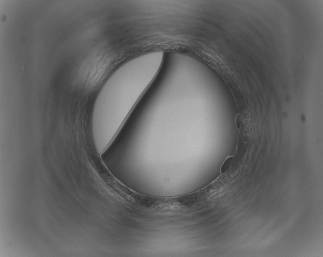 X0000073500642200607310853