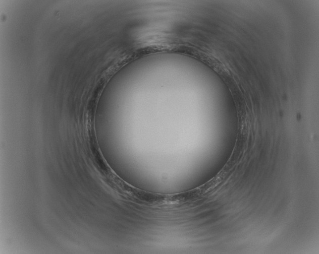 X0000073500647200607310854