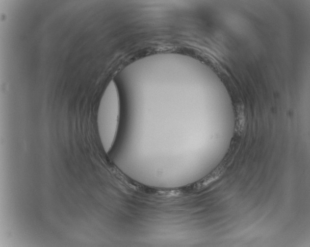 X0000073500667200607310854
