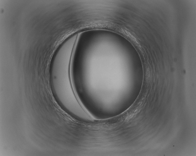 X0000073500673200607310853