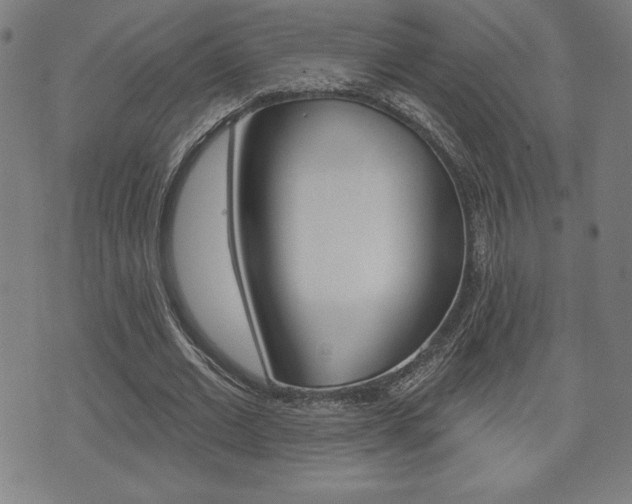 X0000073500677200607310853