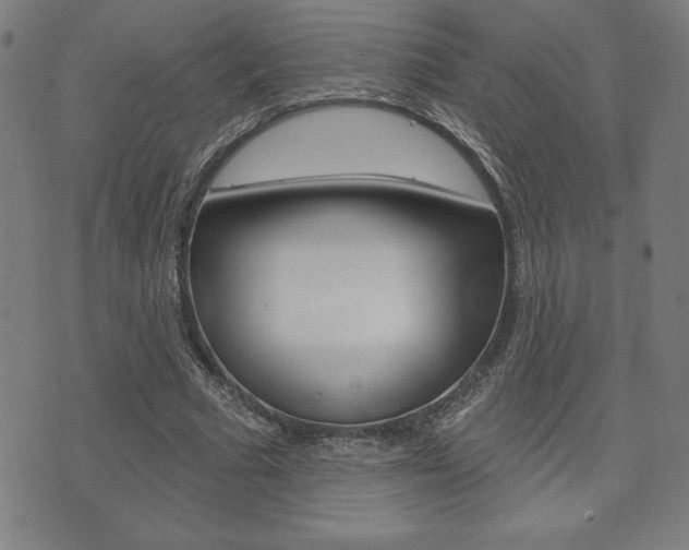 X0000073500681200607310853