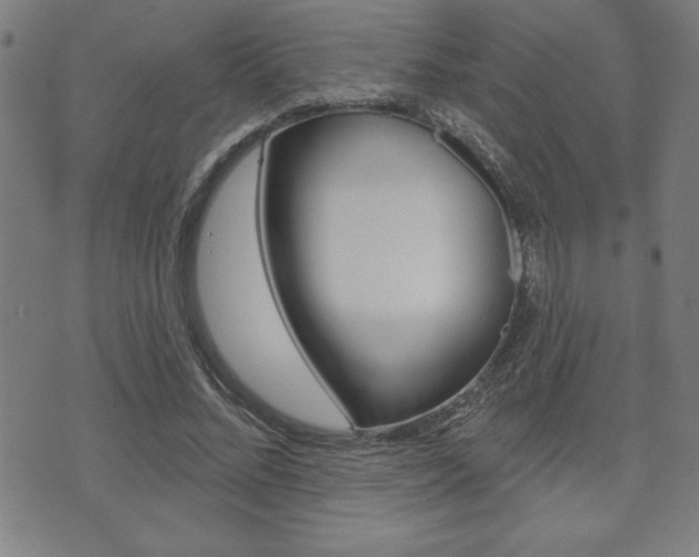 X0000073500684200607310853