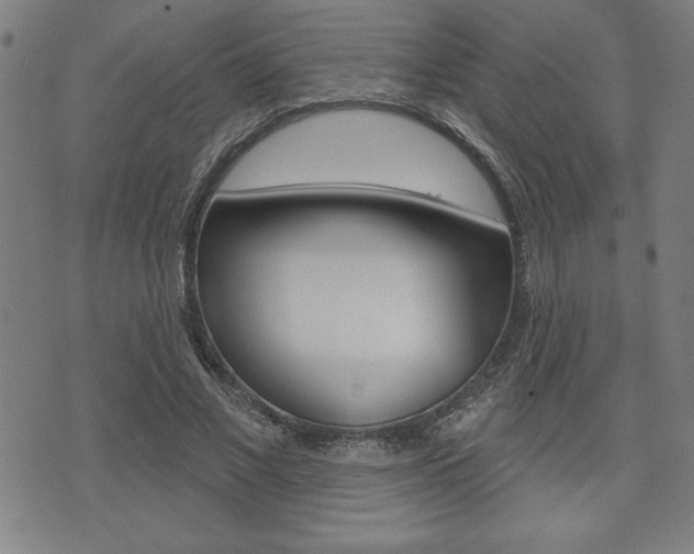 X0000073500685200607310853