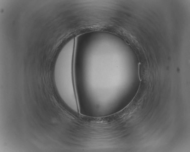 X0000073500689200607310853