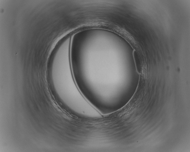 X0000073500724200607310852