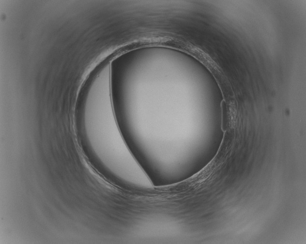 X0000073500726200607310852