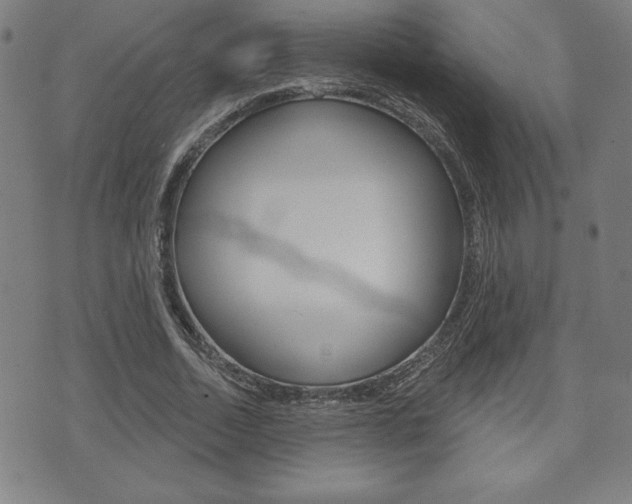 X0000073500730200607310852