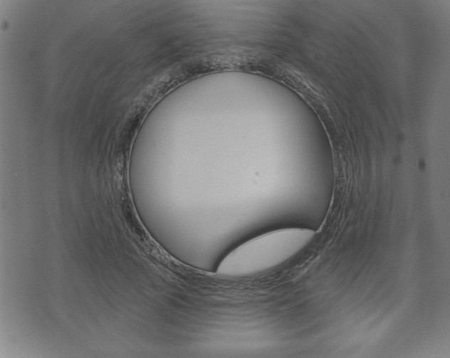 X0000073500737200607310852