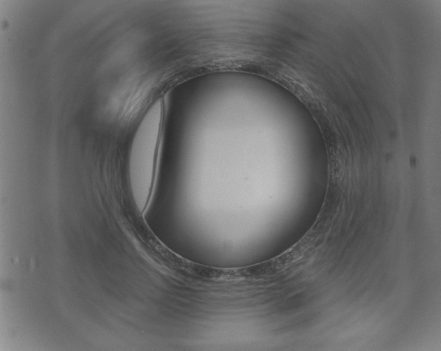 X0000073500742200607310852
