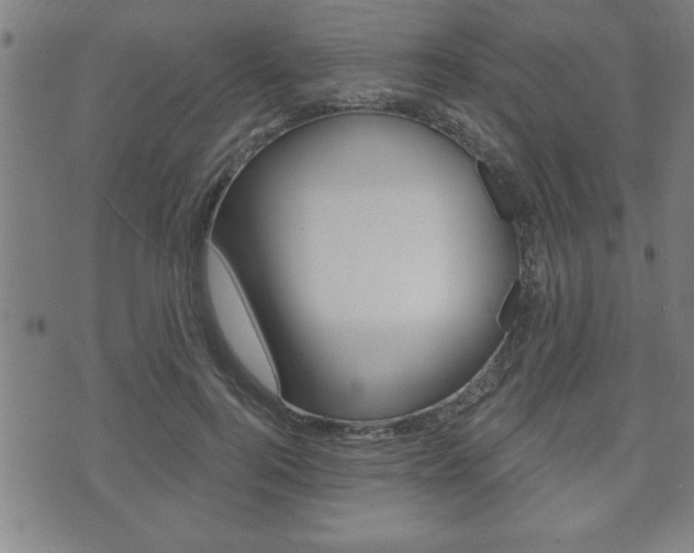 X0000073500744200607310852