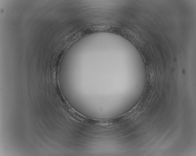 X0000073500745200607310852