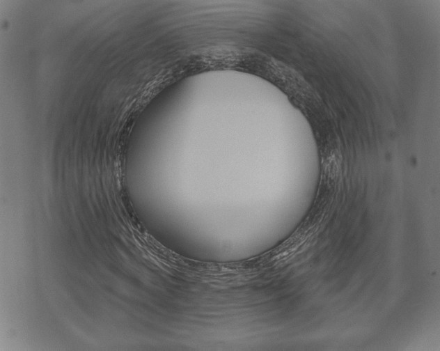 X0000073500772200607310852