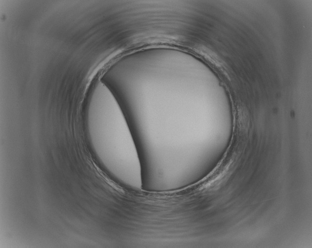 X0000073500782200607310851