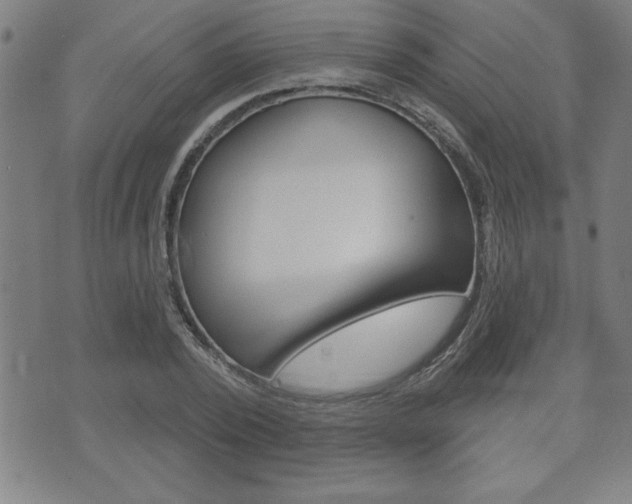 X0000073500784200607310851