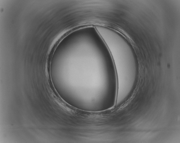 X0000073500788200607310851