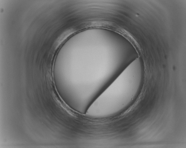 X0000073500794200607310851