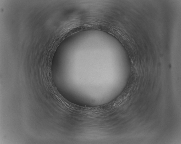 X0000073500817200607310850
