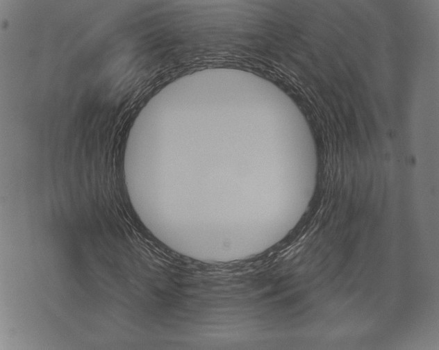 X0000073500818200607310850